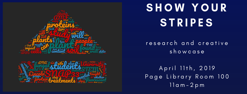 2019 Show Your Stripes Research and Creative Showcase